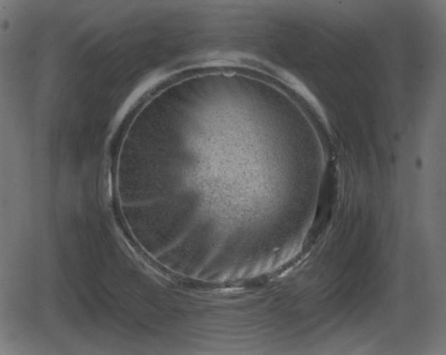 X0000062131368200512161141