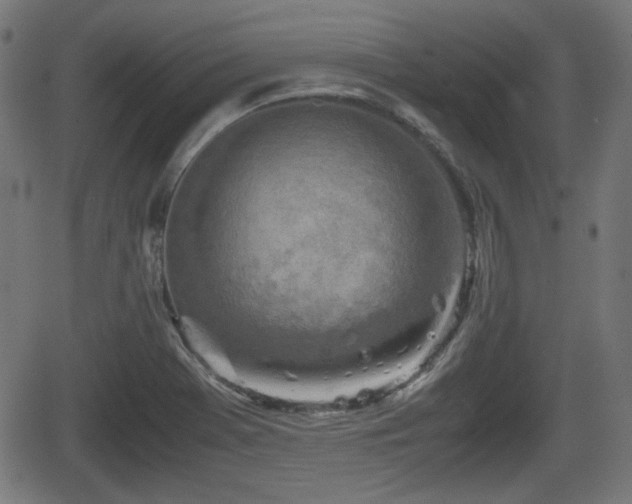 X0000062131369200512161141