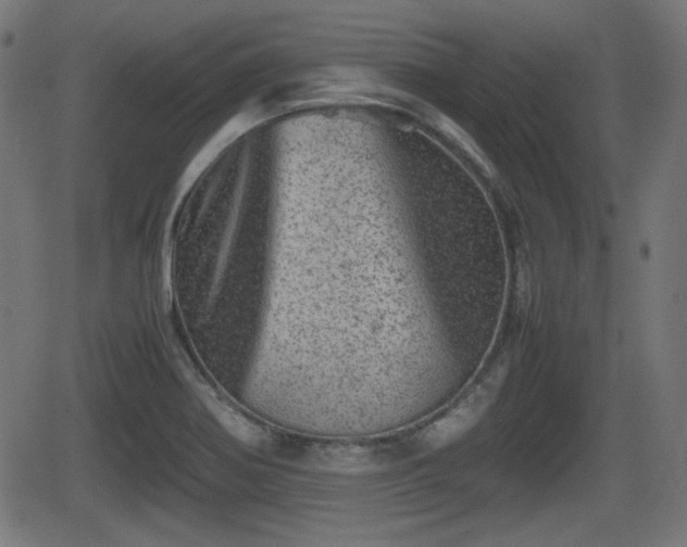 X0000062131370200512161141