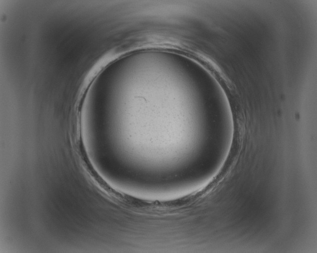 X0000062131371200512161141