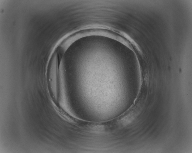 X0000062131372200512161141