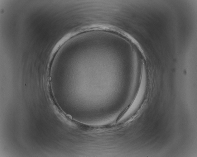 X0000062131373200512161141