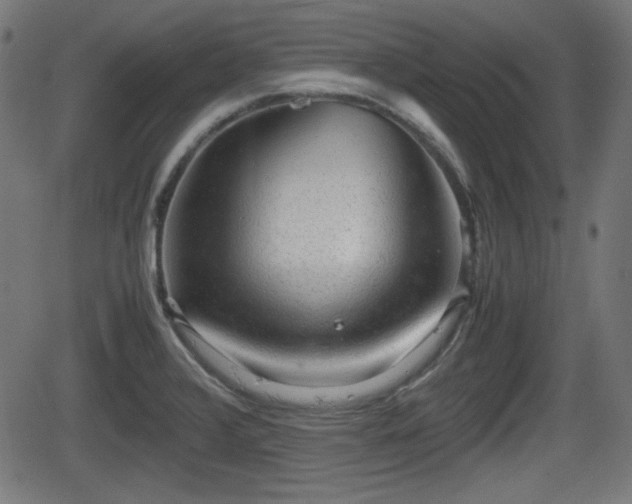 X0000062131376200512161141