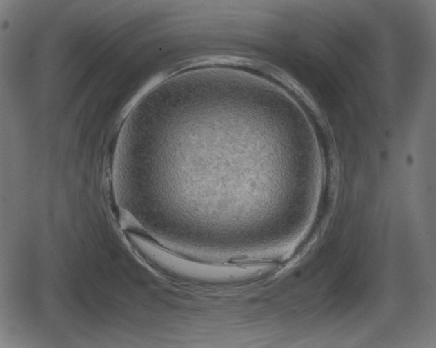 X0000062131377200512161141