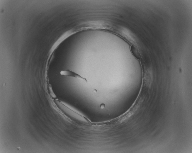 X0000062131378200512161141