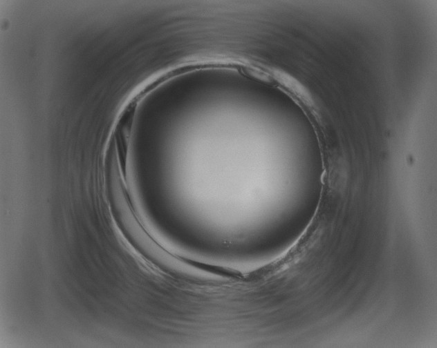 X0000062131380200512161141