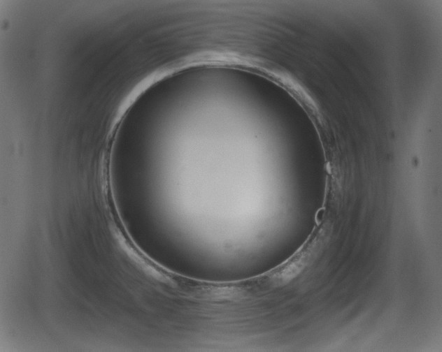 X0000062131382200512161141