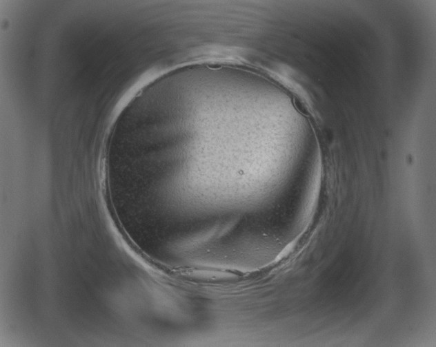 X0000062131383200512161141