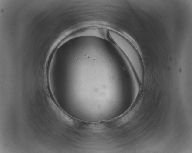 X0000062131384200512161141