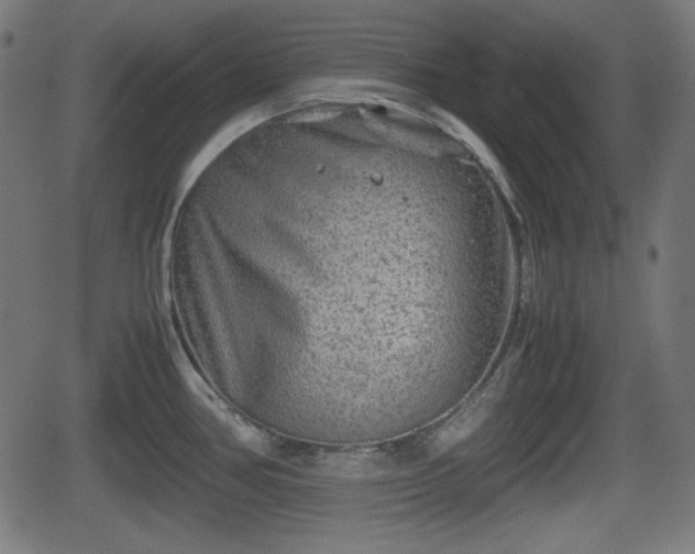 X0000062131386200512161141