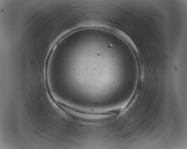 X0000062131388200512161140