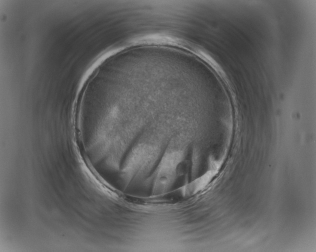 X0000062131392200512161140