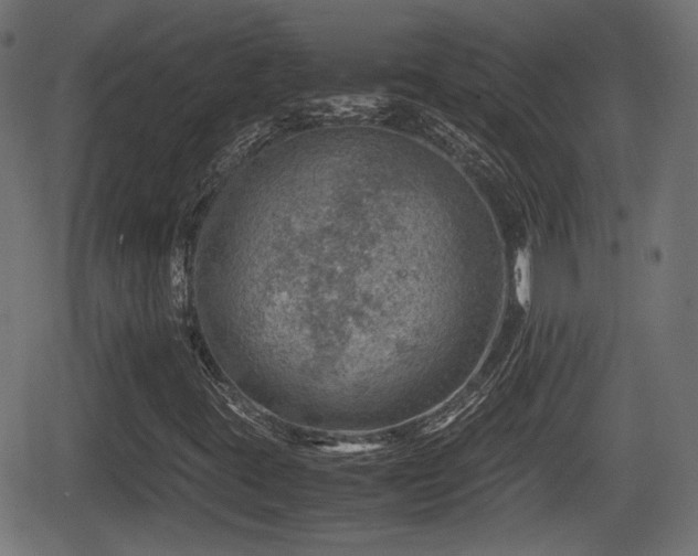 X0000062131395200512161140