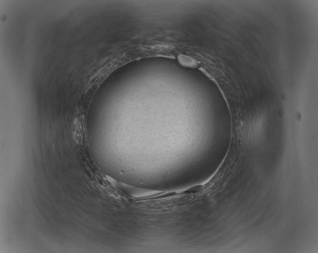 X0000062131397200512161140