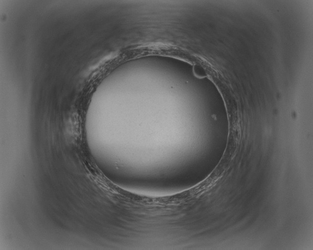 X0000062131398200512161140