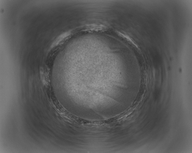 X0000062131399200512161140