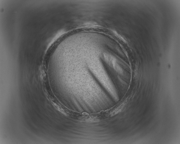 X0000062131400200512161140