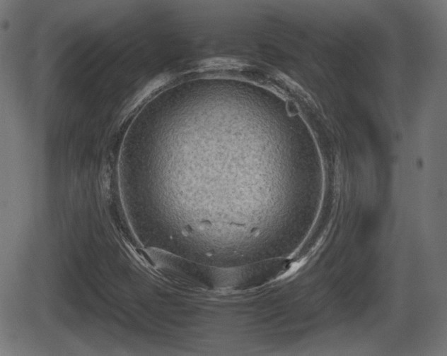 X0000062131401200512161140