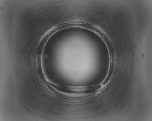 X0000062131402200512161140