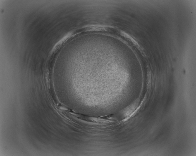 X0000062131403200512161140