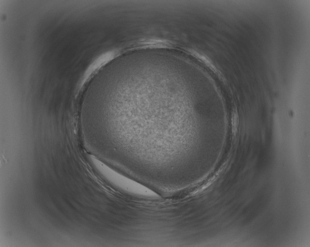 X0000062131405200512161140