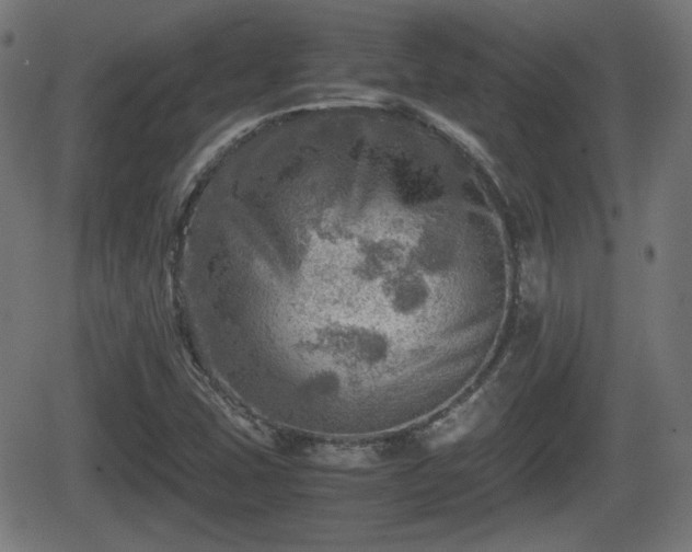 X0000062131407200512161140