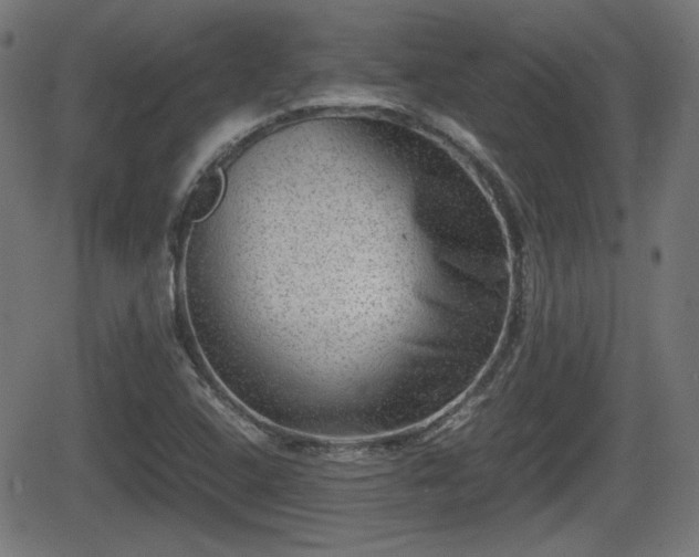 X0000062131408200512161140