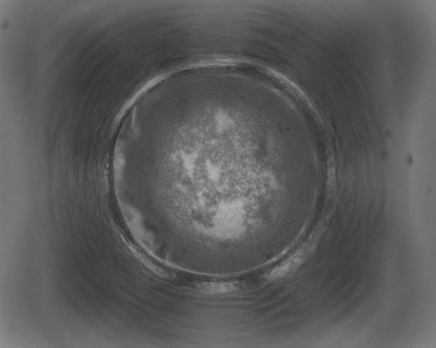 X0000062131409200512161140