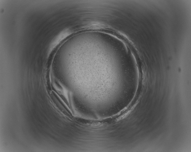 X0000062131410200512161140