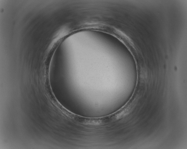 X0000062131411200512161140