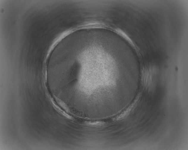 X0000062131413200512161140