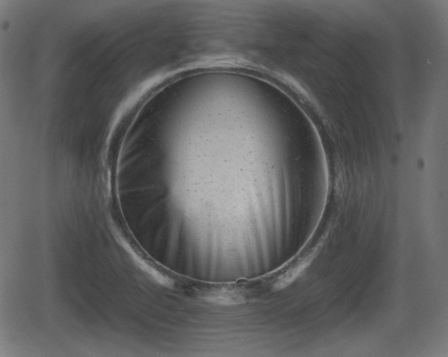 X0000062131414200512161140