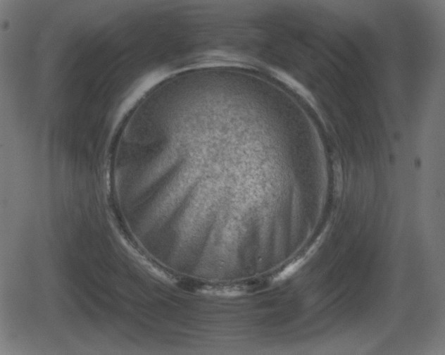 X0000062131415200512161140