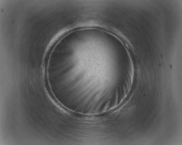 X0000062131416200512161140