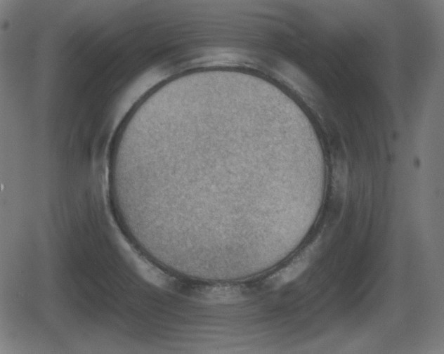 X0000062131418200512161140