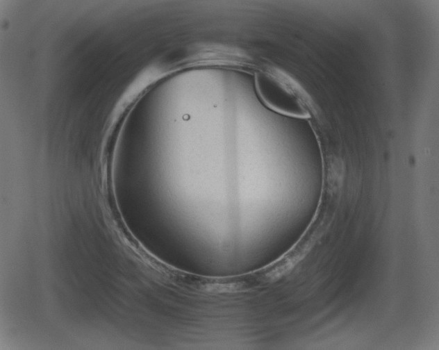 X0000062131419200512161140