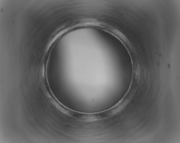 X0000062131420200512161140