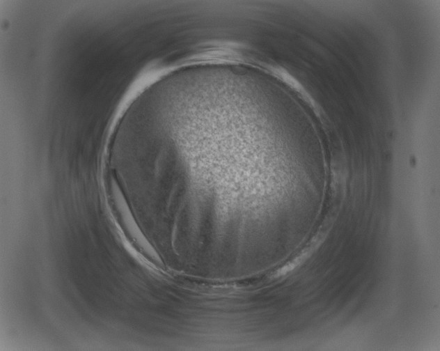 X0000062131421200512161140