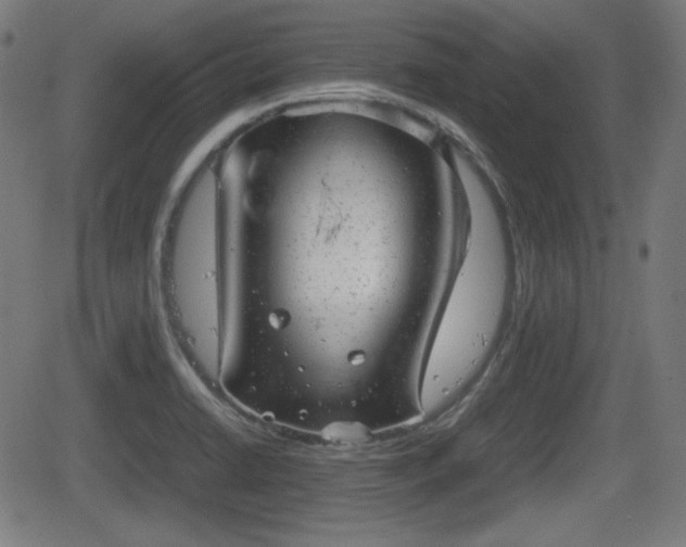 X0000062131422200512161140