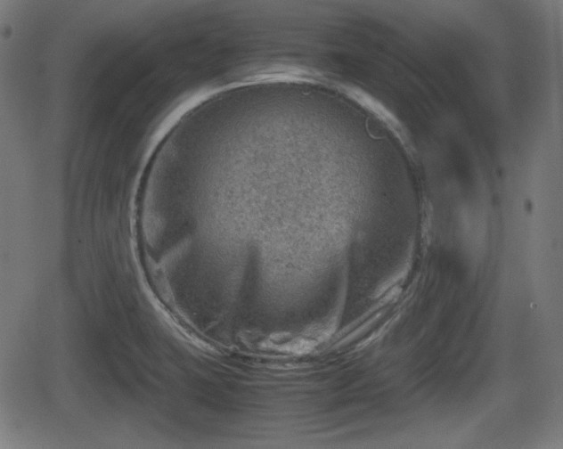 X0000062131423200512161140