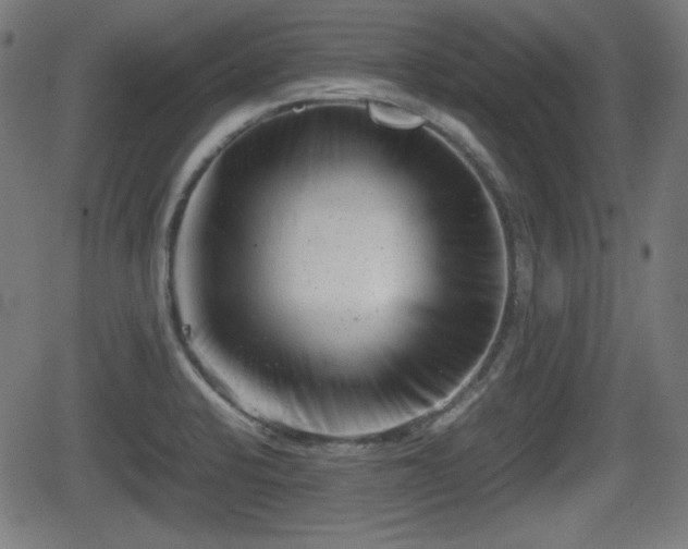 X0000062131424200512161140