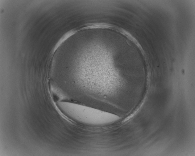 X0000062131425200512161140