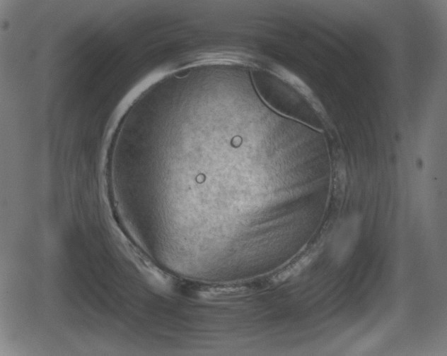 X0000062131427200512161140