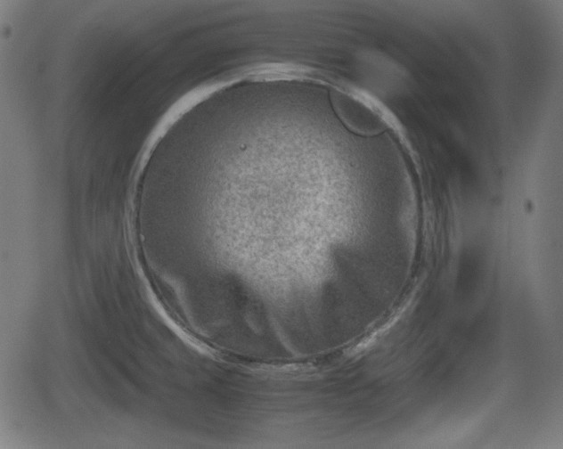 X0000062131429200512161140