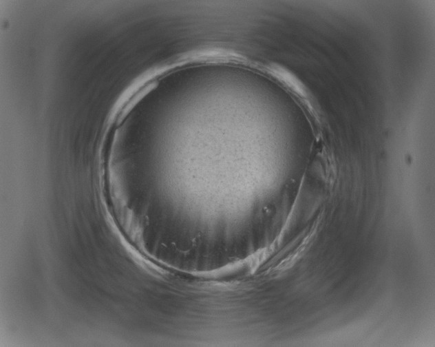 X0000062131430200512161140