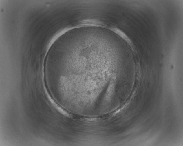 X0000062131431200512161140