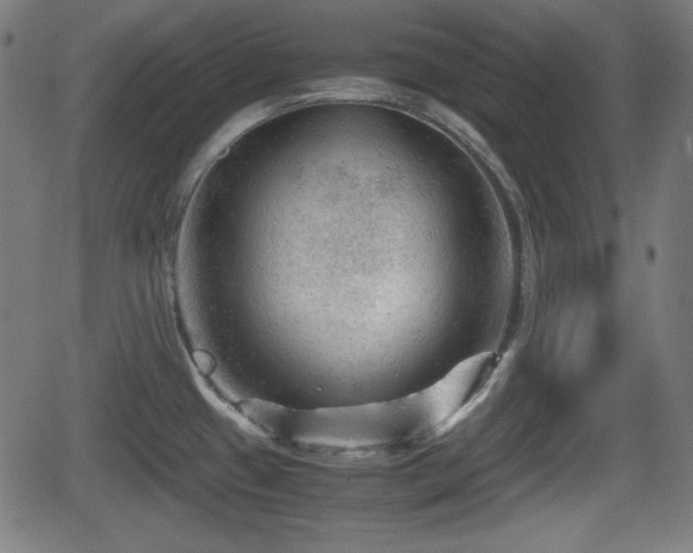 X0000062131433200512161140