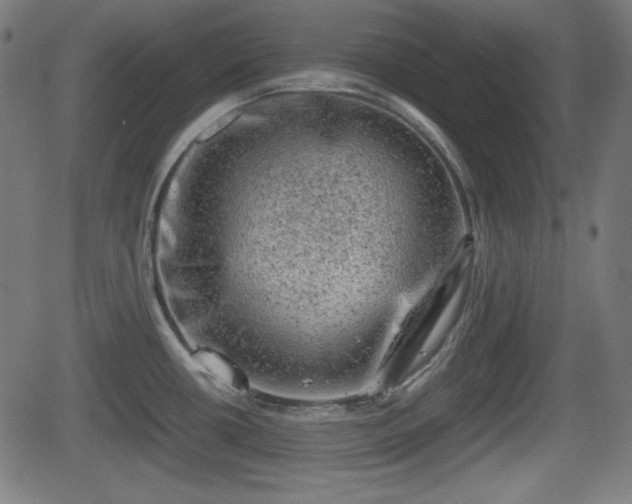 X0000062131434200512161140