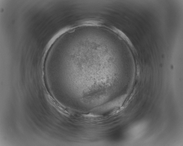 X0000062131435200512161140