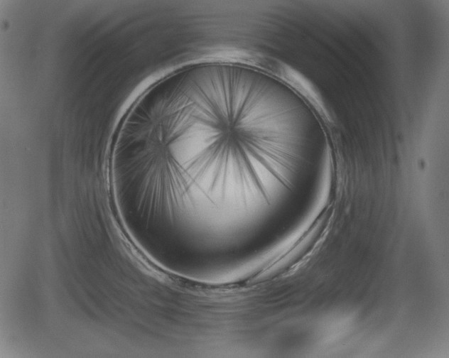 X0000062131436200512161140